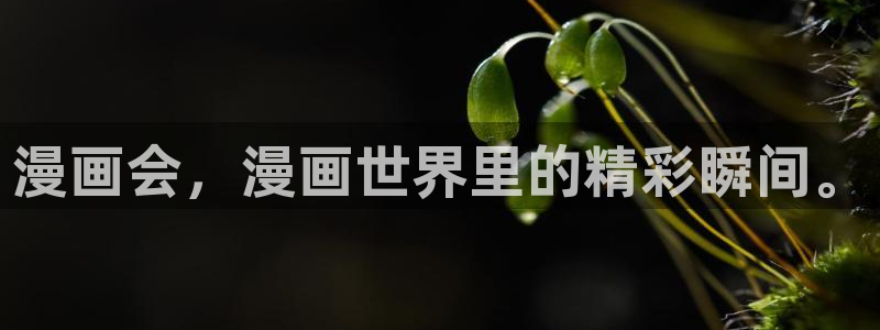 漫漫漫画免费在线阅读